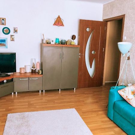 Cozy Apartment Bukovina Suceava Luaran gambar