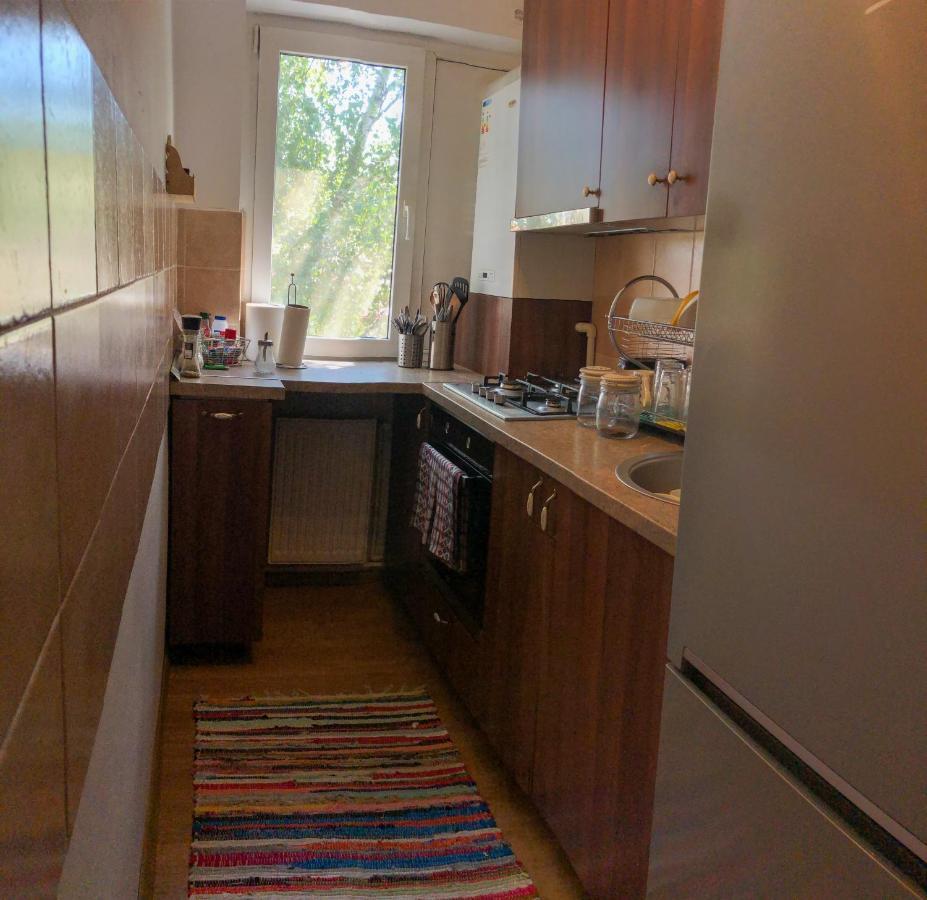 Cozy Apartment Bukovina Suceava Luaran gambar